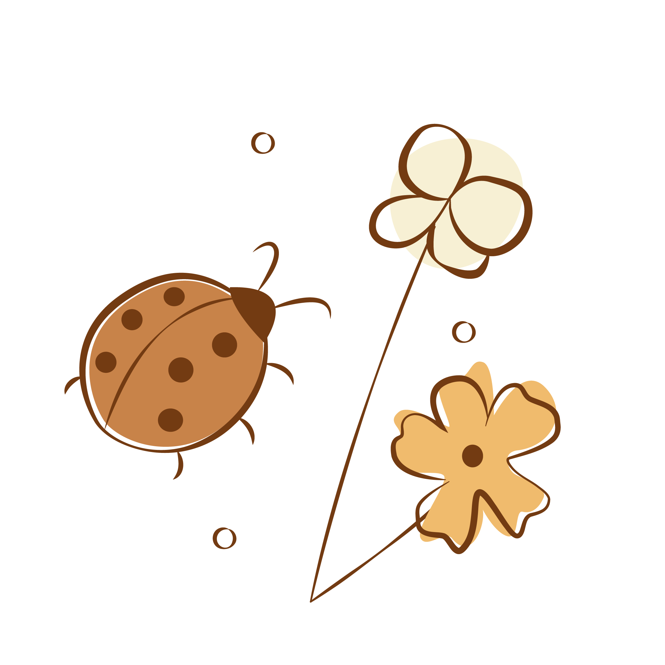 coccinelle