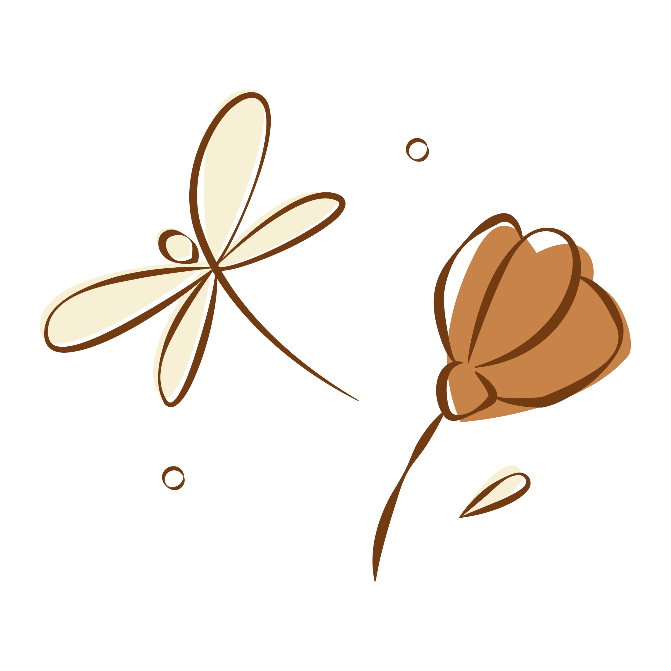 libellule