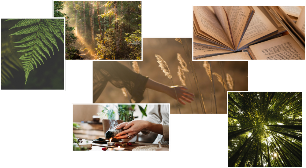 Moodboard site web Aurea Good Vibes